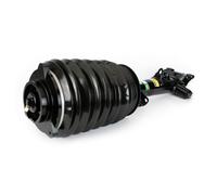 Air Suspension Strut Right Front Fits Mercedes CLS Shooting Brake Arnott AS-3894