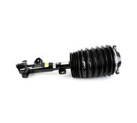 AS-3895 Air Suspension Strut Left Front Fits Mercedes CLS Shooting Brake Arnott