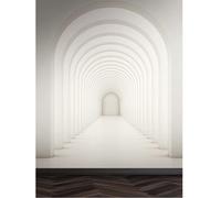 As Creation 3D Dome Hallway White Grey Wallpaper Feature Wall Mural 159 X 280Cm