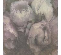 As Creation A.s. Creation New Walls Wallpaper - 373921 Green & Purple Floral Design