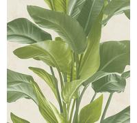 AS Creation Botanical Garden Plant Leaf Leaves Trail Wallpaper Textured Vinyl