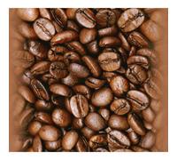 As Creation Bricoflor Brown Coffe Beans Bistro Patterned Wallpaper Panel Self Adhesive Vinyl Washable 2.50 X 0.35 M