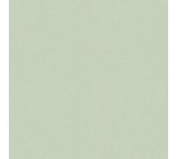 As Creation Bricoflor Light Green Plain Wallpaper Suitable For All Living Spaces Textured Wallpaper In Light Green 10.05 X 0.53 M