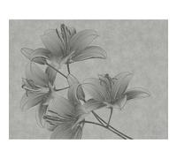 Livingwalls Flower The Wall Non-Woven Wallpaper 3.71 m x 2.80 m Grey Made in Germany 382781 382781