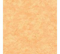 As Creation Bricoflor Orange Plain Wallpaper Textured Effect Unicolour Simple Elegant Wallpaper 10.05 X 0.53 M