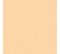 As Creation Bricoflor Peach Toned Wallpaper Washable Pink Orange Wallpaper Unicolour Wallpaper Ideal For Kitchen And Hallway 10.05 X 0.53 M