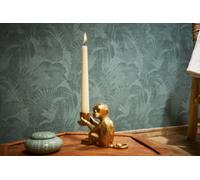 As Creation Bricoflor Teal Tropical Leaves Wallpaper Self Adhesive Non Woven Wallpaper Ideal For Bedroom 10.05 X 0.53 M
