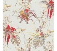 AS Creation Exotic Birds Wallpaper Cream Colorfull Parrots Paste The Wall