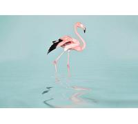 As Creation Flamingo Water Digital 400Cm X 270Cm