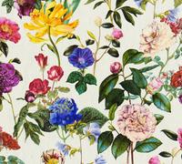 As Creation Garden Floral Multi Simply Spray Pre-Pasted 53Cm X 1050Cm