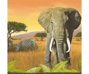 AS Creation Orange Africa Border Wallpaper Safari Sunset Paste The Paper