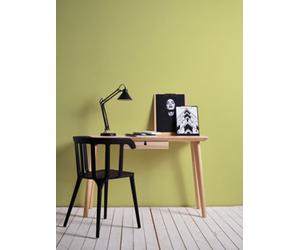 As Creation Quirky Solid Colour Wallpaper In Green, Great For Kitchen, Home Office And Dining Room, Modern Funky Plain Non-Woven Wallpaper