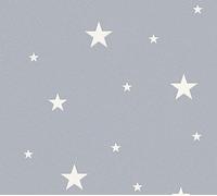 AS Creation Star Glow In The Dark Grey NonWoven Wallpaper 324403