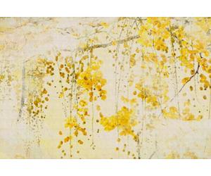 As Creation Taiyo Digital Mural 400Cm X 270Cm