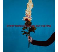 As December Falls - Everything's On Fire But I'm Fine