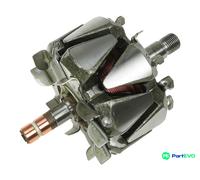AS-PL ALTERNATOR ROTOR AR3012