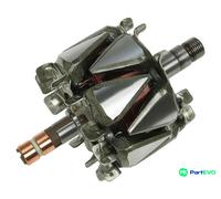 AS-PL ALTERNATOR ROTOR AR3013