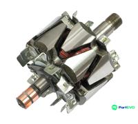 AS-PL ALTERNATOR ROTOR AR6010