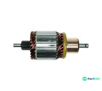 AS-PL STARTER ARMATURE SA0037