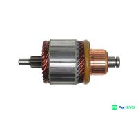 AS-PL STARTER ARMATURE SA0056