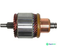 AS-PL STARTER ARMATURE SA0056