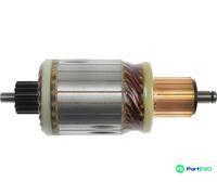 AS-PL STARTER ARMATURE SA0071