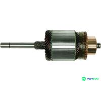 AS-PL STARTER ARMATURE SA2004