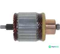 AS-PL STARTER ARMATURE SA2019