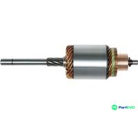 AS-PL STARTER ARMATURE SA4013
