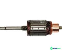 AS-PL STARTER ARMATURE SA4021