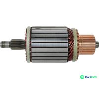 AS-PL STARTER ARMATURE SA5035
