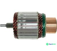 AS-PL STARTER ARMATURE SA6031S