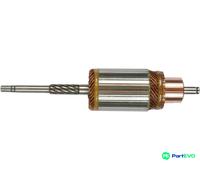 AS-PL STARTER ARMATURE SA9007