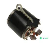 AS-PL STARTER FIELD WINDING SF6013S