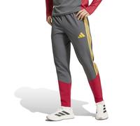 AS Roma Presentation Trousers Competition Tiro 26 Gris XL