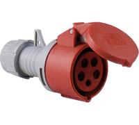 AS - Schwabe 60425 CEE Coupler 16 A, 5-pin, 6H, 400 V High Voltage Current