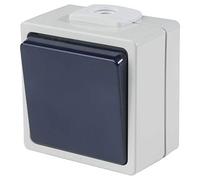 As - Schwabe surface-mounted switch - Changeover switch (cross section 2.5 mm²) - Robust rocker switch (230 V / 10 A) for damp rooms and outdoors - IP54 - light gray / blue - Made in Germany I 62450