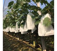 (As show, One size) 100 Pcs Garden Grapes Fruit Protection Bag Fruit Forest Vegetable Bed Flower Pest Control Mesh Bag Insect Isolation Net Barrier Bag (180 * 200mm, Whit