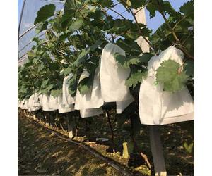 (As show, One size) 100 Pcs Garden Grapes Fruit Protection Bag Fruit Forest Vegetable Bed Flower Pest Control Mesh Bag Insect Isolation Net Barrier Bag (180 * 200mm, Whit