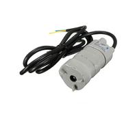 (As show, One size) 12v Submersible Fresh Water Pump 10 Lpm Fits Thetford C2 C200 Cwe