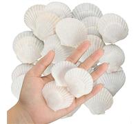 (As show, One size) 40PCS Natural Scallop Shells 1.4-2.4inch White Small Sea Shells compatible with Crafts Crafting Shell Bulk Real Seashells