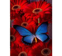 (As show, One size) 5D Diamond Painting Kits for Adults, DIY 5D Diamond Art Kits Adults Flowers Diamond Painting Kits Full Drill Diamond Painting Butterflies Kits Red Flo