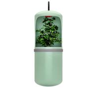 (As show, One size) Automatic Water Fountain Feeding Bowl System Circulation for Crawl Pet for Turtle Snake Spider for Frog