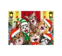 (As show, One size) Diamond Painting Kits for Adults, Christmas Cats Diamond Art 5D DIY Full Drill Round Rhinestone Christmas Gift for Kids Home Wall Decor 12x17 inches