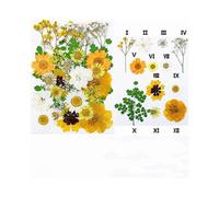 (As show, One size) Dry flower embossing combination package Pressed Flower material package Real flower embossing real leaf specimen paintingused to describe the beautif