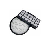 (As show, One size) Filters compatible with Rowenta X-trem Power Cyclonic Ro6984ea Ro6941ea Ro6963ea Ro6921ea Ro6971ea Ro6993ea Vacuum Cleaners (model Ro69xx), Replacemen