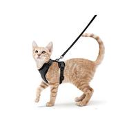(As show, One size) Harnais Chat avec Laisse, Harnais Chaton Respirant et Bande Rflchissante Gilet Petit Chien Rglable Noir L Collier Animal Facile Mettre pour Persan Ra