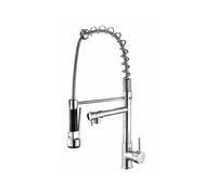 (As show, One size) Lever Kitchen Mixer Tap with 1 Spray in Silver Chromed Brass