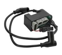(As show, One size) Motorcycle CDI BOX Start Engine Ignition Coil 512060040 512060324 compatible with Touring 500F Summit 550F Expe