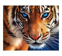 (As show, One size) Other Wall Decor 30x40cm Tiger Diamond Painting Kits for Adult Kids, 5D Full Round Diamond Art Kits, Animals DIY Gem Painting Arts Tiger Diamond Paint